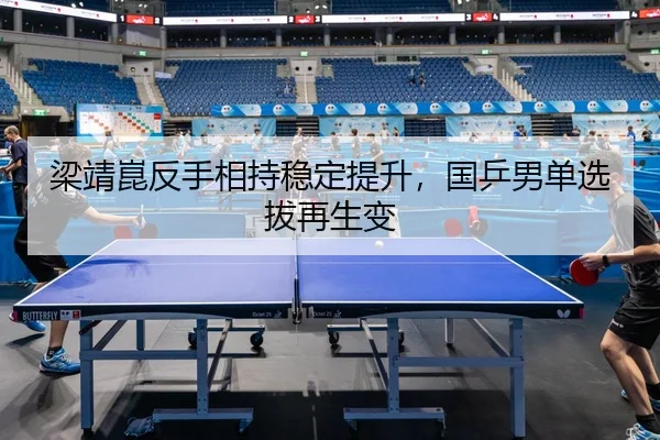 梁靖崑反手相持稳定提升，国乒男单选拔再生变